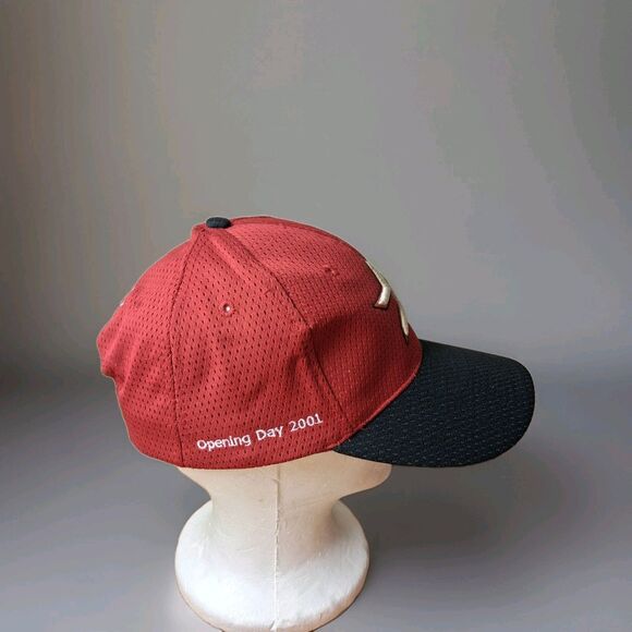 2001 Houston Astros Baseball Opening Day Enron Field Logo Cap Hat MLB SnapBack - Picture 2 of 10